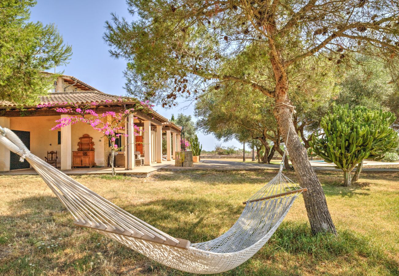 Country house in Can Picafort - A0029 Son Morro
