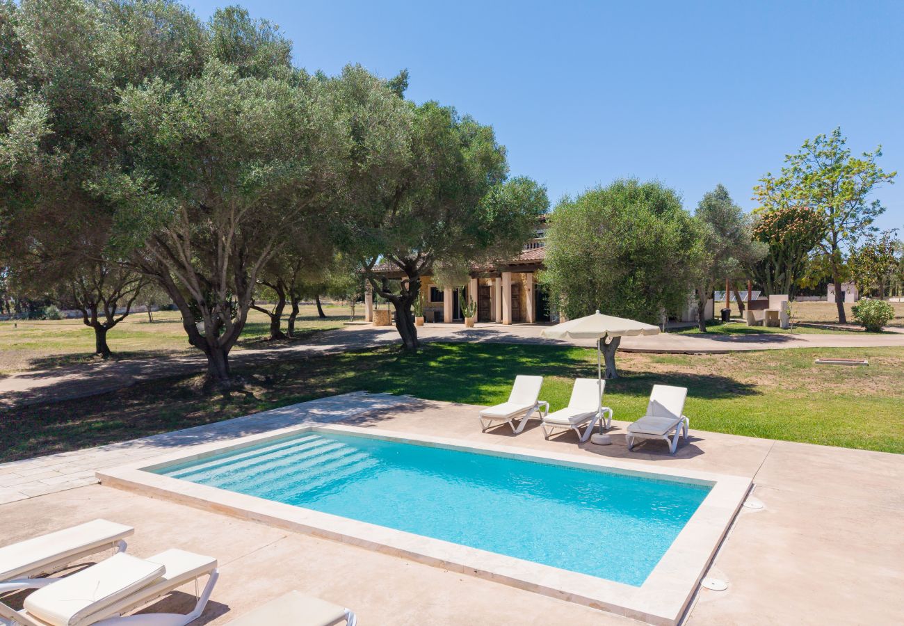 Country house in Can Picafort - A0013 Son Morro