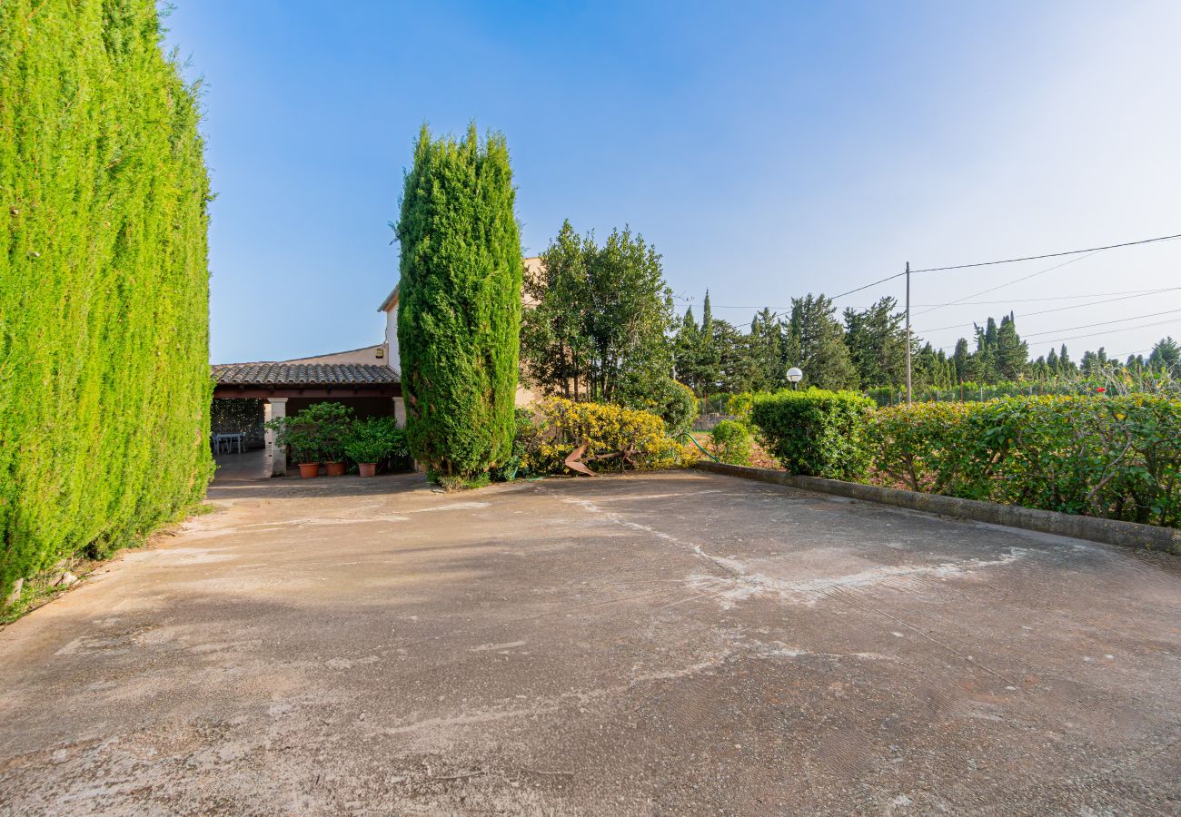 Villa in Puerto Pollensa - Villa El Vila by Homevillas360
